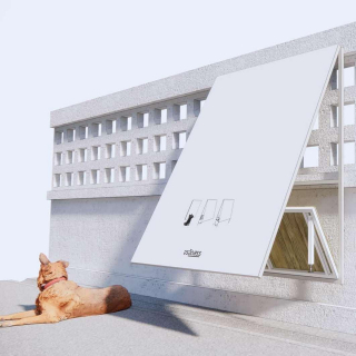 Illustration de l'article : Ils construisent des abris à partir de panneaux d'affichage inutilisés pour protéger les chiens errants