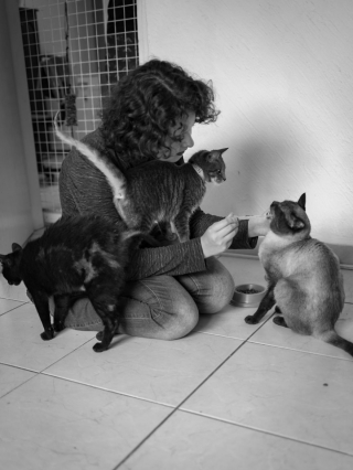 Illustration de l'article : 16 belles photos résumant le travail quotidien des bénévoles d'un refuge