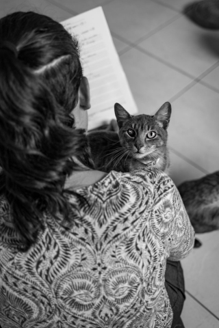 Illustration de l'article : 16 belles photos résumant le travail quotidien des bénévoles d'un refuge