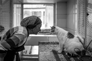 Illustration de l'article : 16 belles photos résumant le travail quotidien des bénévoles d'un refuge