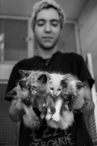 Illustration de l'article : 16 belles photos résumant le travail quotidien des bénévoles d'un refuge