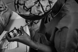 Illustration de l'article : 16 belles photos résumant le travail quotidien des bénévoles d'un refuge