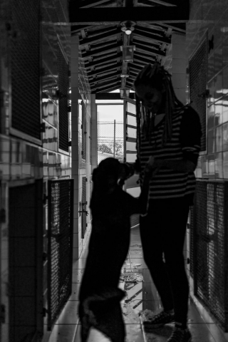 Illustration de l'article : 16 belles photos résumant le travail quotidien des bénévoles d'un refuge