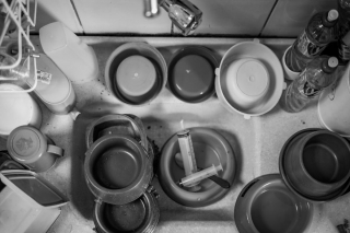 Illustration de l'article : 16 belles photos résumant le travail quotidien des bénévoles d'un refuge