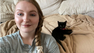 Illustration de l'article : Les pompiers interviennent en pleine nuit pour secourir un chaton coincé derrière les murs de sa nouvelle maison !