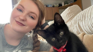 Illustration de l'article : Les pompiers interviennent en pleine nuit pour secourir un chaton coincé derrière les murs de sa nouvelle maison !