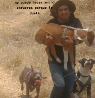 Illustration de l'article : Un père de famille porte son chien handicapé dans les bras pour qu'il puisse s'amuser avec ses congénères (vidéo)