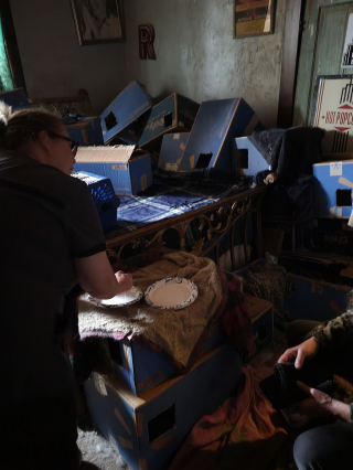 Illustration de l'article : Près de 50 chats craintifs et entassés dans une maison entrevoient l'espoir d'une vie meilleure