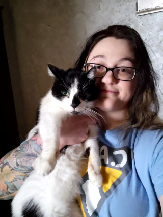 Illustration de l'article : Près de 50 chats craintifs et entassés dans une maison entrevoient l'espoir d'une vie meilleure