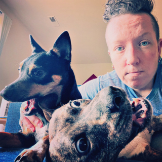 Illustration de l'article : 10 récits émouvants dans lesquels des familles ont tendu la main à de pauvres chiens