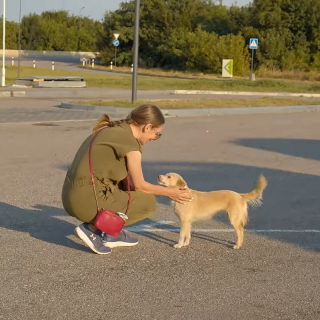Illustration de l'article : Une chienne errant dans une station-service court vers une femme dans l'espoir de changer de vie (vidéo)