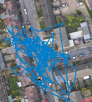 Illustration de l'article : Son chat rentre à la maison sans le traceur GPS : il se lance à la poursuite du voleur qui vit dans les égouts !