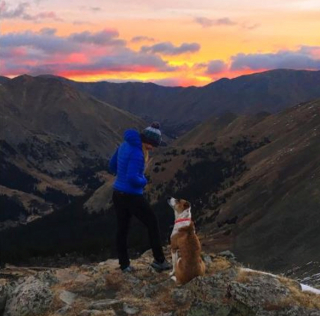 Illustration de l'article : 11 photos d'un chien et de son meilleur ami chat qui aiment voyager aux 4 coins du monde