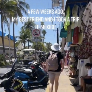 Illustration de l'article : En vacances, elle ressent un coup de foudre pour une chienne errante et fait tout pour la rapatrier (vidéo)