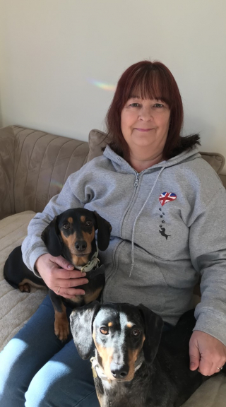 Illustration de l'article : Utilisé pour la reproduction puis destiné au commerce de la viande, ce Teckel a enfin trouvé la paix