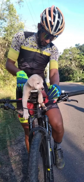 Illustration de l'article : Un automobiliste jette un sac contenant un chiot dans les broussailles sous le regard choqué de cyclistes (vidéo)
