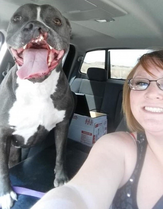 Illustration de l'article : Une Pitbull avec la mâchoire déformée trouve le véritable amour après 3 abandons