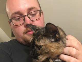 Illustration de l'article : En voulant chasser un oiseau, cette chatte rentre avec la langue mutilée et finit aux urgences