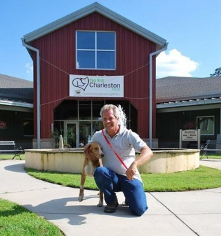 Illustration de l'article : Un chien de chasse négligé et marqué du numéro 300 trouve enfin l'aide qu'il n'osait plus espérer