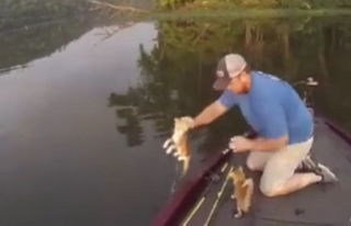 Illustration de l'article : 2 hommes en pleine partie de pêche font une prise inattendue et remontent 2 chatons de l'eau