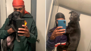 Illustration de l'article : 20 photos de chiots qui sont devenus de grosses boules de poils pleines d'amour