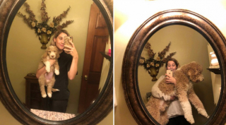 Illustration de l'article : 20 photos de chiots qui sont devenus de grosses boules de poils pleines d'amour