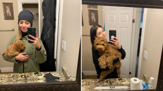 Illustration de l'article : 20 photos de chiots qui sont devenus de grosses boules de poils pleines d'amour