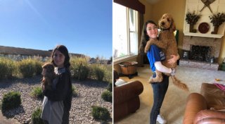 Illustration de l'article : 20 photos de chiots qui sont devenus de grosses boules de poils pleines d'amour