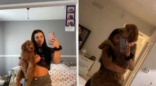 Illustration de l'article : 20 photos de chiots qui sont devenus de grosses boules de poils pleines d'amour