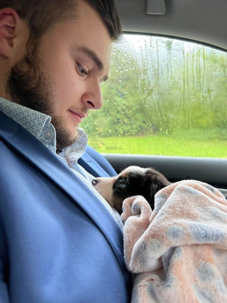 Illustration de l'article : 13 photos illustrant les moments uniques que vous pouvez vivre avec un animal de compagnie