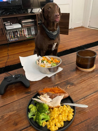 Illustration de l'article : 13 photos illustrant les moments uniques que vous pouvez vivre avec un animal de compagnie