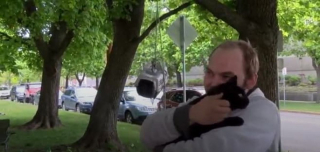 Illustration de l'article : En attendant les secours, il passe la nuit sous la pluie pour réconforter son chat senior coincé dans un arbre