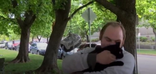 Illustration de l'article : En attendant les secours, il passe la nuit sous la pluie pour réconforter son chat senior coincé dans un arbre