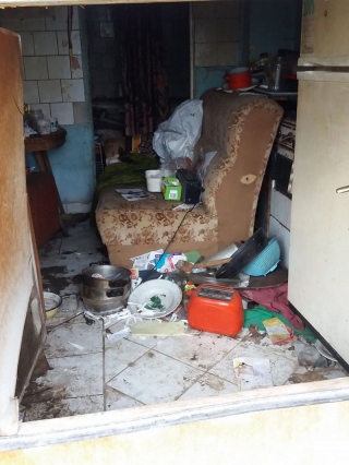 Illustration de l'article : Ce chien senior surmonte abandon, brutalité et problèmes de santé avant de goûter pleinement au bonheur