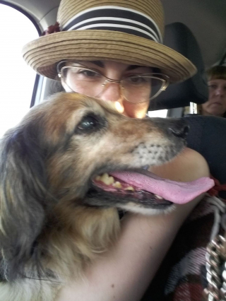 Illustration de l'article : Ce chien senior surmonte abandon, brutalité et problèmes de santé avant de goûter pleinement au bonheur