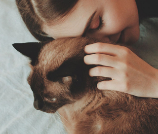 Illustration de l'article : 10 photos de chats et de chiens ayant de drôles de manières pour occuper leur temps libre