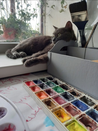 Illustration de l'article : 13 photos d'une chatte qui mène une vie d'aventurière et respire la joie de vivre