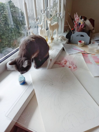 Illustration de l'article : 13 photos d'une chatte qui mène une vie d'aventurière et respire la joie de vivre