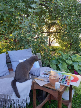 Illustration de l'article : 13 photos d'une chatte qui mène une vie d'aventurière et respire la joie de vivre