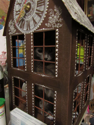 Illustration de l'article : 13 photos d'une chatte qui mène une vie d'aventurière et respire la joie de vivre