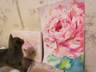 Illustration de l'article : 13 photos d'une chatte qui mène une vie d'aventurière et respire la joie de vivre