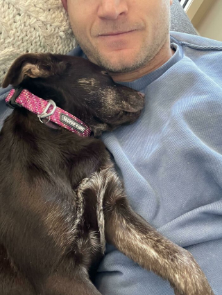 Illustration de l'article : 20 photos d'animaux abandonnés ou maltraités qui ont renoué avec le bonheur