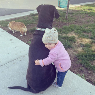 Illustration de l'article : Ces 9 photos d'animaux de compagnie forment un véritable cocktail de bonne humeur