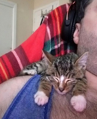 Illustration de l'article : Ces 9 photos d'animaux de compagnie forment un véritable cocktail de bonne humeur