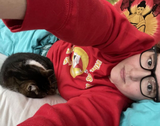 Illustration de l'article : Ces 9 photos d'animaux de compagnie forment un véritable cocktail de bonne humeur