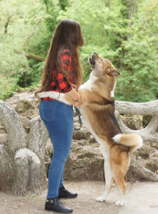 Illustration de l'article : Sa passion pour les chiens, Sandra en a fait son métier et la met au service des maîtres en difficulté