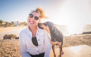 Illustration de l'article : 20 photos rendant hommage aux chiens errants, r&eacute;alis&eacute;es par un passionn&eacute; de voyages et de canid&eacute;s