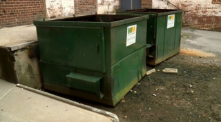 Illustration de l'article : Abandonnée dans une benne à ordures, cette chienne en état de détresse reçoit l'aide inespérée d'un éboueur