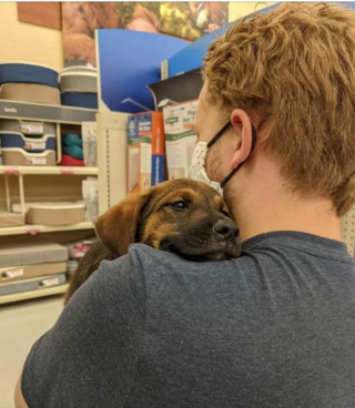 Illustration de l'article : 16 animaux incapables de cacher leur bonheur après leur adoption