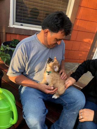 Illustration de l'article : 16 animaux incapables de cacher leur bonheur après leur adoption